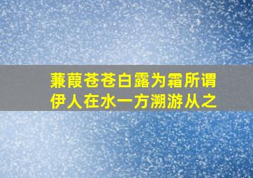 蒹葭苍苍白露为霜所谓伊人在水一方溯游从之