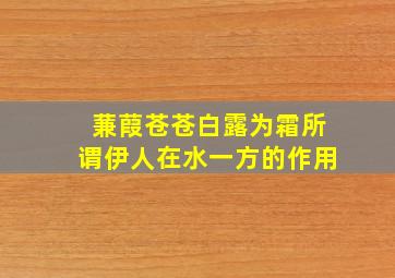 蒹葭苍苍白露为霜所谓伊人在水一方的作用