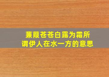 蒹葭苍苍白露为霜所谓伊人在水一方的意思