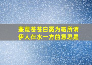 蒹葭苍苍白露为霜所谓伊人在水一方的意思是