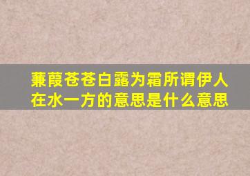 蒹葭苍苍白露为霜所谓伊人在水一方的意思是什么意思