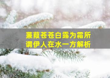 蒹葭苍苍白露为霜所谓伊人在水一方解析