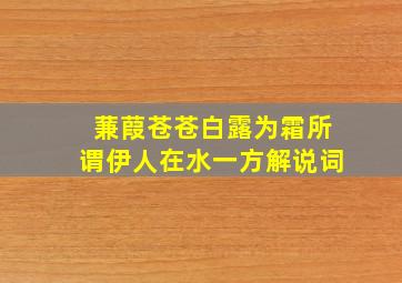 蒹葭苍苍白露为霜所谓伊人在水一方解说词