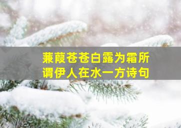 蒹葭苍苍白露为霜所谓伊人在水一方诗句