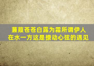 蒹葭苍苍白露为霜所谓伊人在水一方这是撩动心弦的遇见