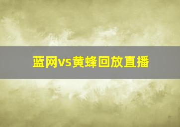 蓝网vs黄蜂回放直播