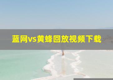 蓝网vs黄蜂回放视频下载