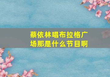 蔡依林唱布拉格广场那是什么节目啊