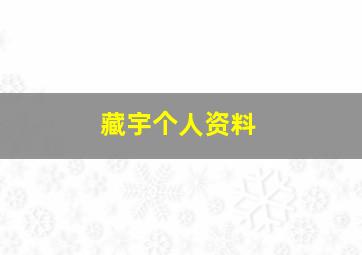 藏宇个人资料