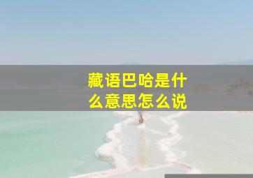 藏语巴哈是什么意思怎么说