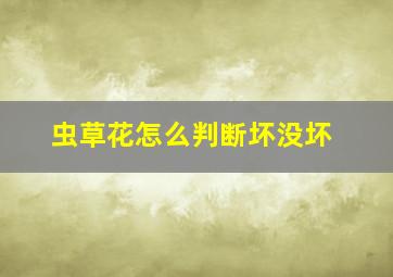 虫草花怎么判断坏没坏