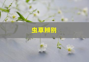 虫草辨别