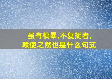 虽有槁暴,不复挺者,輮使之然也是什么句式