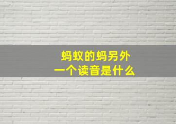 蚂蚁的蚂另外一个读音是什么