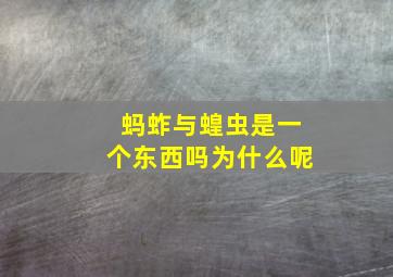 蚂蚱与蝗虫是一个东西吗为什么呢