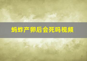 蚂蚱产卵后会死吗视频