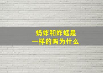 蚂蚱和蚱蜢是一样的吗为什么