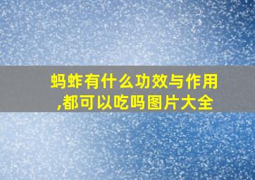 蚂蚱有什么功效与作用,都可以吃吗图片大全