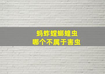 蚂蚱螳螂蝗虫哪个不属于害虫