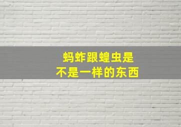 蚂蚱跟蝗虫是不是一样的东西