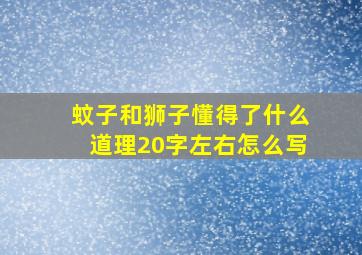 蚊子和狮子懂得了什么道理20字左右怎么写