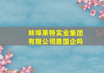 蚌埠莱特实业集团有限公司是国企吗