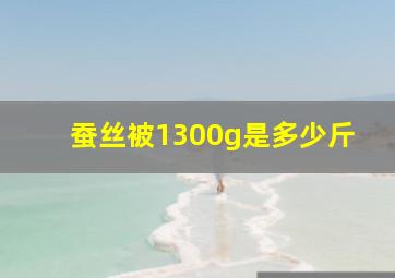 蚕丝被1300g是多少斤