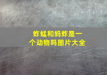 蚱蜢和蚂蚱是一个动物吗图片大全