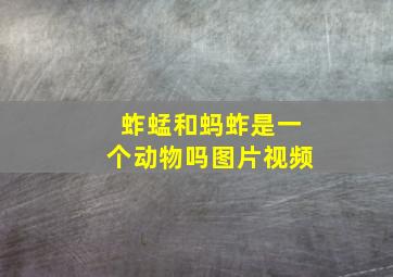 蚱蜢和蚂蚱是一个动物吗图片视频