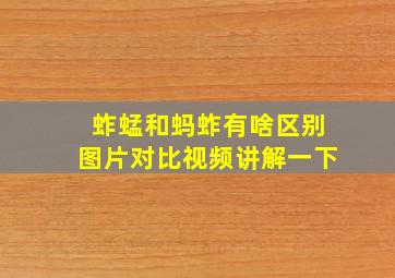 蚱蜢和蚂蚱有啥区别图片对比视频讲解一下