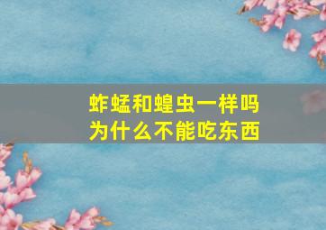 蚱蜢和蝗虫一样吗为什么不能吃东西