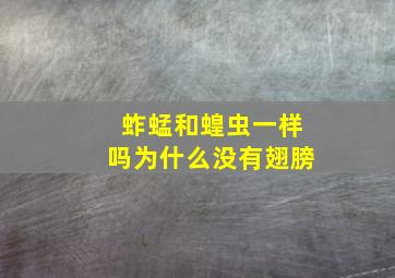 蚱蜢和蝗虫一样吗为什么没有翅膀