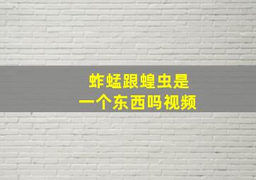 蚱蜢跟蝗虫是一个东西吗视频