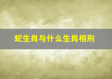 蛇生肖与什么生肖相刑