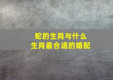 蛇的生肖与什么生肖最合适的婚配