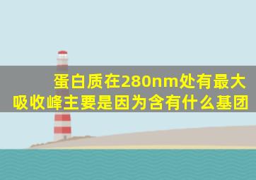 蛋白质在280nm处有最大吸收峰主要是因为含有什么基团