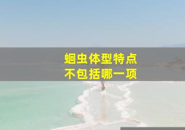 蛔虫体型特点不包括哪一项