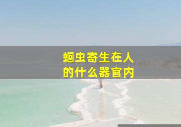 蛔虫寄生在人的什么器官内