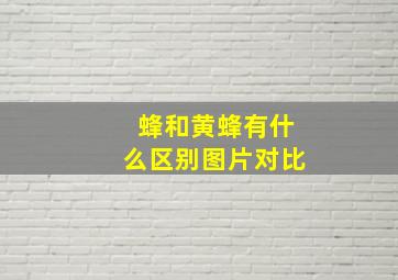 蜂和黄蜂有什么区别图片对比