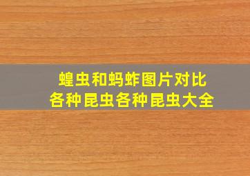 蝗虫和蚂蚱图片对比各种昆虫各种昆虫大全