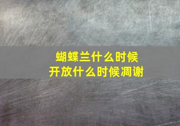 蝴蝶兰什么时候开放什么时候凋谢