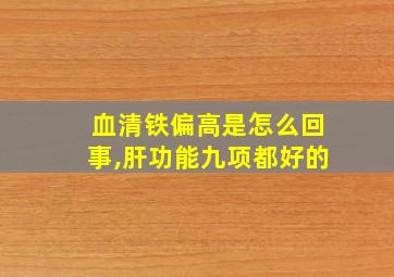 血清铁偏高是怎么回事,肝功能九项都好的