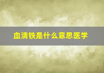 血清铁是什么意思医学