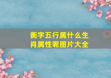 衡字五行属什么生肖属性呢图片大全