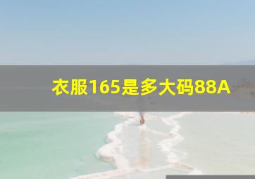 衣服165是多大码88A