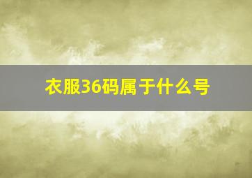 衣服36码属于什么号