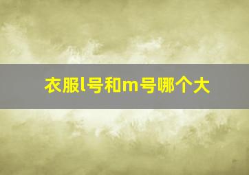 衣服l号和m号哪个大