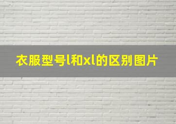 衣服型号l和xl的区别图片