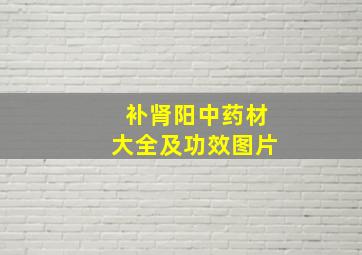 补肾阳中药材大全及功效图片