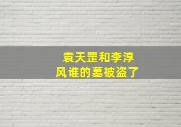 袁天罡和李淳风谁的墓被盗了